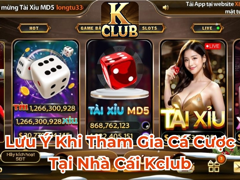 Xem qua những lưu ý khi tham gia cá cược tại nhà cái VeeWin